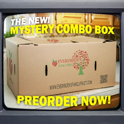 Combo Box 11.08.25 - 11.09.25